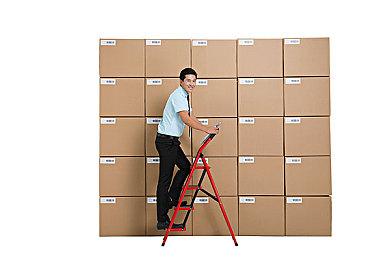 Epic喜加一：《黑书》《渡渡鸟峰》免费领取